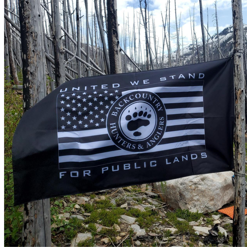 United We Stand Flag