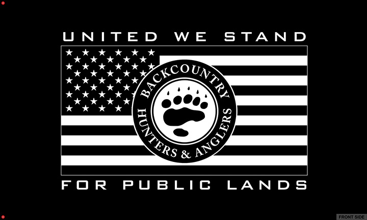 United We Stand Flag