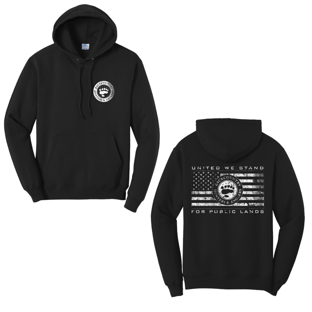 United We Stand Hoodie