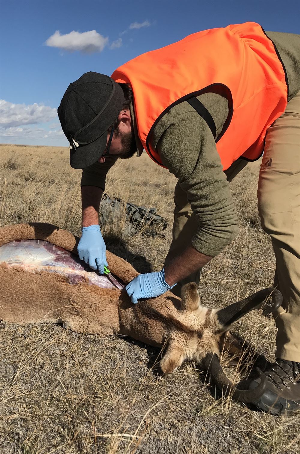BHA Blaze Orange Hunting Vest