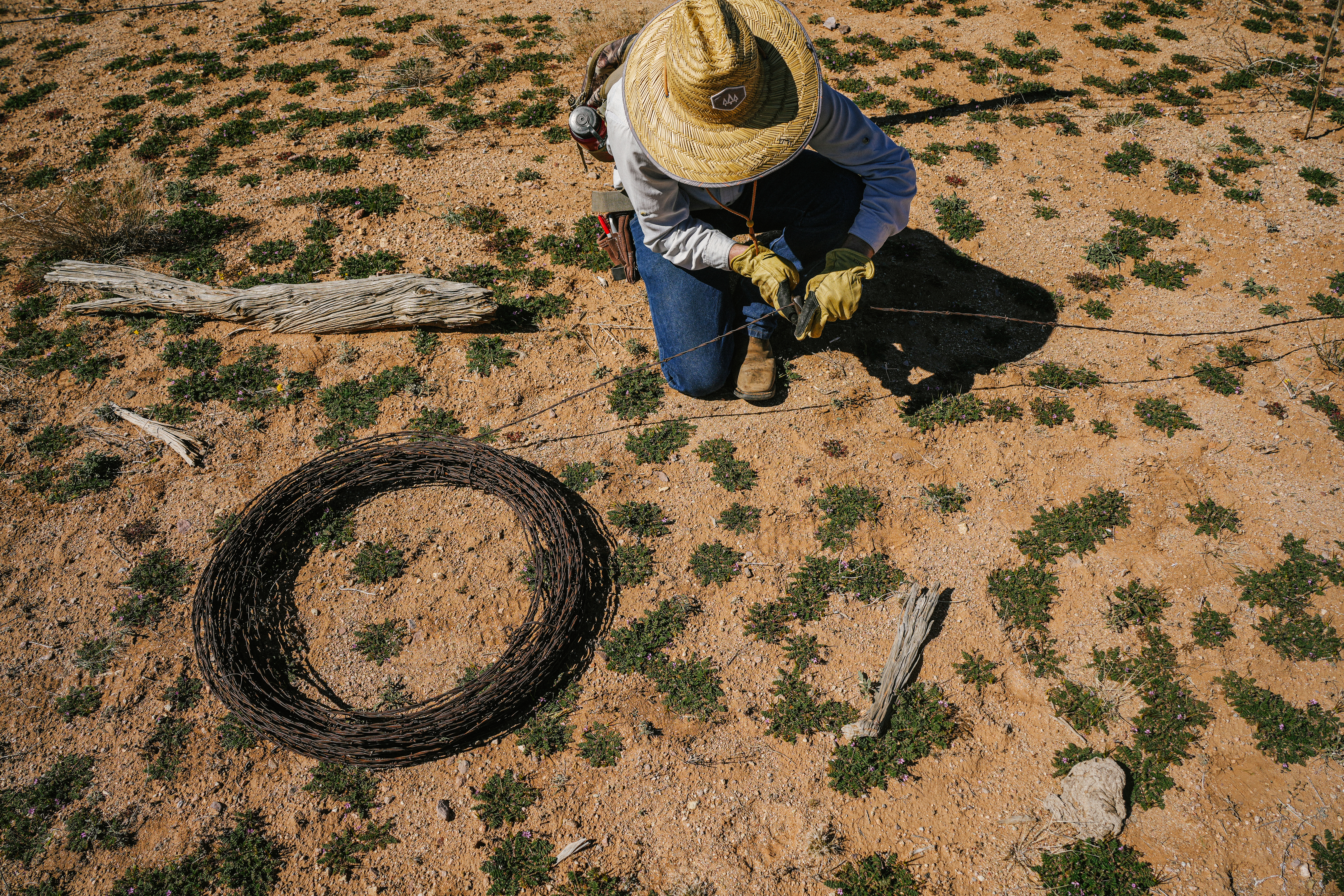 Man rolling up fence
