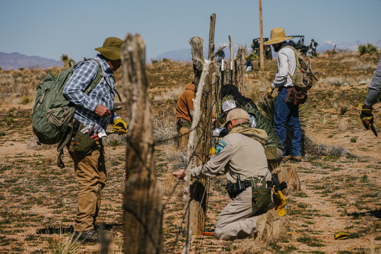 Volunteers mending fence