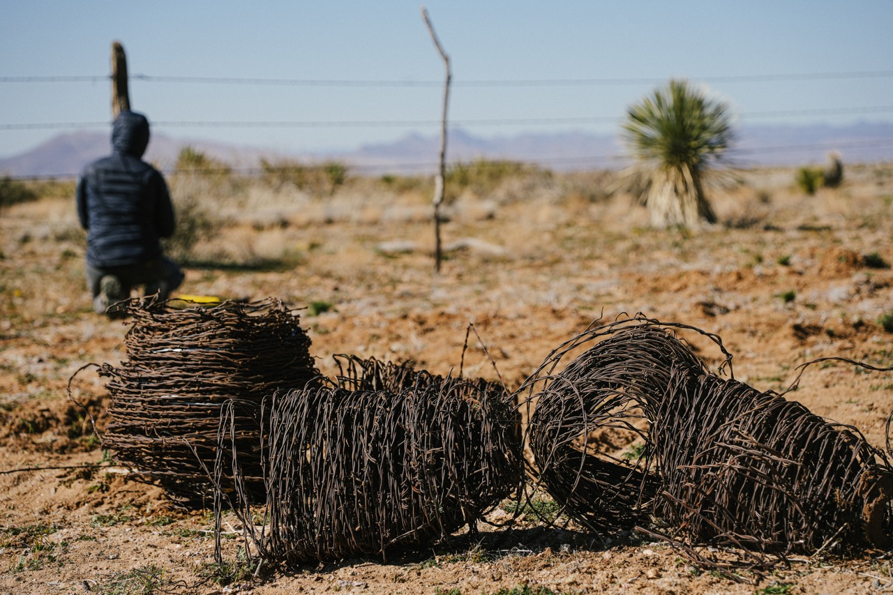 Rolls of barbed wire