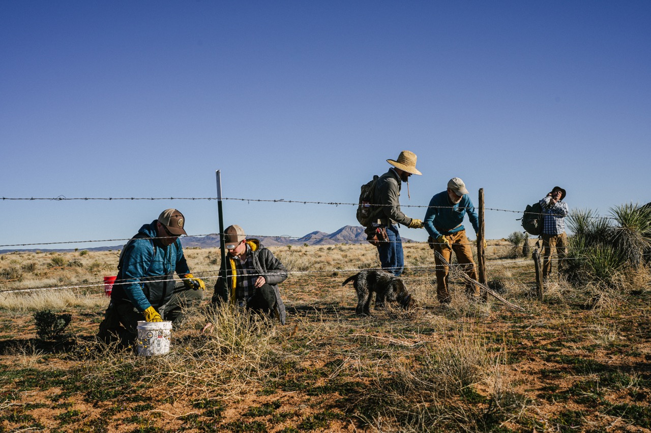 Volunteers removing fence