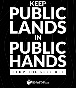 Privatization of Public Lands