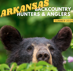 2024 Arkansas BHA Summer Newletter