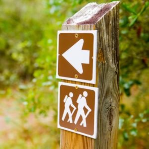 Recap: Western NY Allen Lake Trail Project