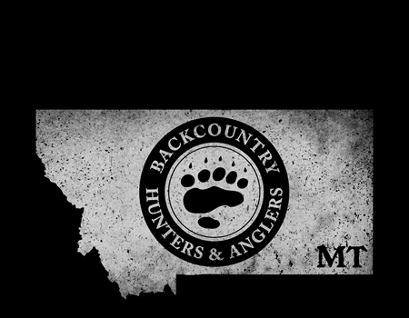Montana BHA 2024 Spring Newsletter