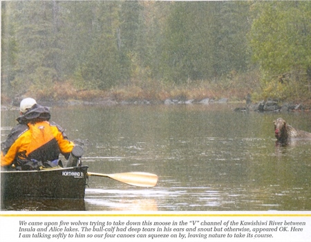 Hunting For Experience: Backcountry  Hunters & Anglers Oral History Project