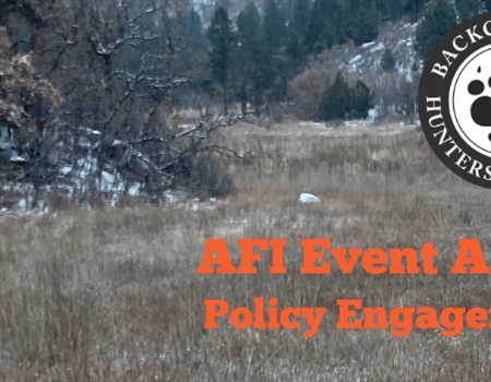 AFI Policy Updates for Q:1 2024