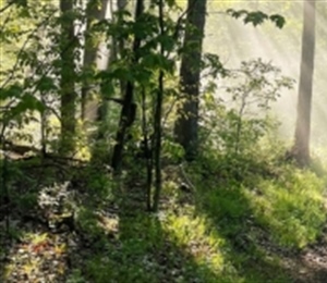 A Win for Public Lands in Iowa: HF 2104 Killed In the House, But The Fight is Not Over