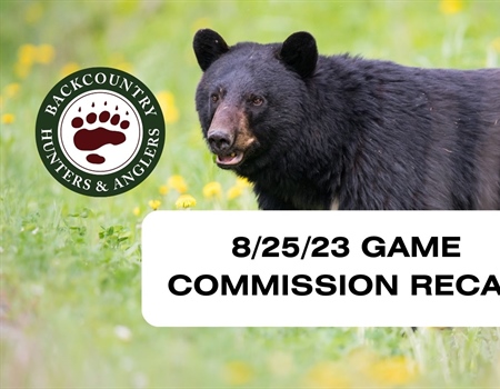 8/25/23 New Mexico State Game Commission Recap