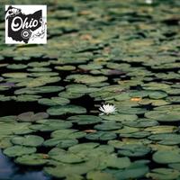 OH Trainwreck: Literal and Figurative