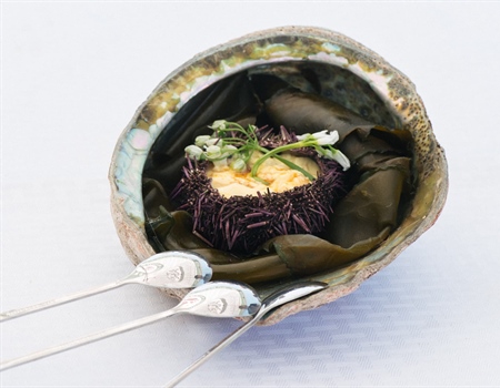 Catch + Cook for a Healthy Ocean Recap