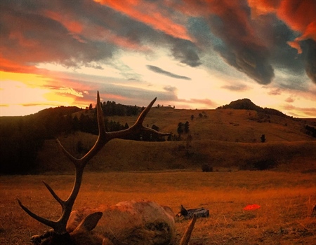 Private property group alleges FWP fails to manage elk; sportspeople seek to intervene