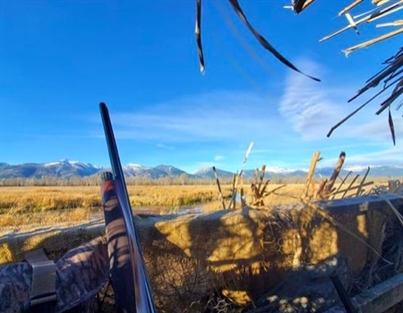 Montana BHA Clarifies R3 Efforts