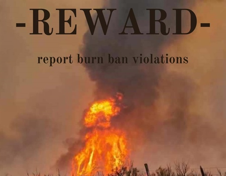 Embers & Ecology: How to Report Burn Ban Violators