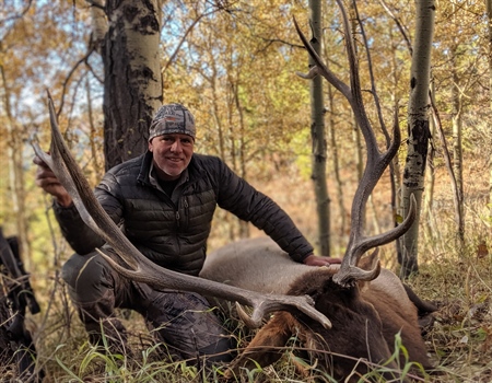 Principles outlined to guide new elk management plan