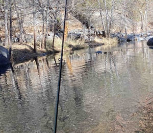 Why Californians Should Support H.R. 803 "Protecting America’s Wilderness and Public Lands"