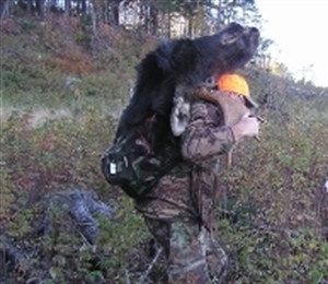 Maine BHA Policy Update March 2021