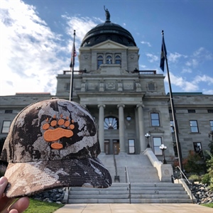 Cow elk season reopened until Feb. 15 along east side of Crazy Mountains