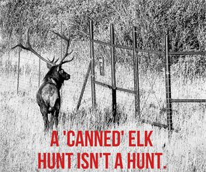 New England BHA Continues Work to Prohibit Captive Hunting with Rhode Island Bill