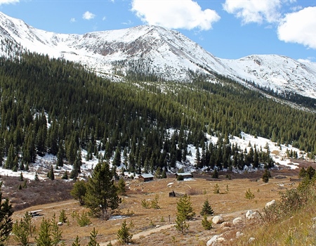 Winter 2021 Colorado Chapter News