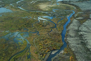 Trump Administration Denies Permit for Alaska’s Pebble Mine