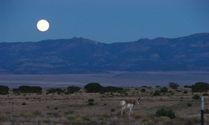 6/25 NMDGF Game Commission Recap