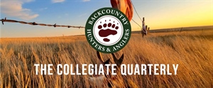 The Collegiate Quarterly: Moving Forward in a Virtual World