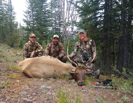 Idaho BHA has a new chapter coordinator