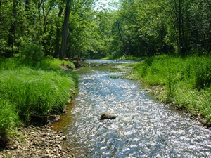 Darby Creek Watershed: Cause for Concern