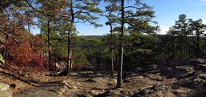 Oklahoma BHA Applauds Acquisition of 7,602 Acre San Bois Wildlife Management Area