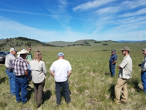 Montana BHA Monitors Spotted Dog WMA Grazing