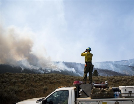 Montana governor forms panel to assess, plan for state’s forests