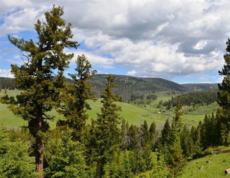 Meagher County ranch proposes $7.5M land sale to U.S. Forest Service