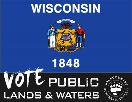 Wisconsin 2018 Midterm Election Candidate Questionnaire