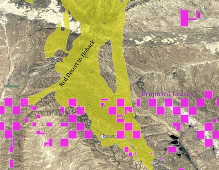 The Importance of Protecting the Red Desert to Hoback Mule Deer Migration Corridor