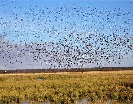 Public Waters Access Bill Fails in the State Legislature