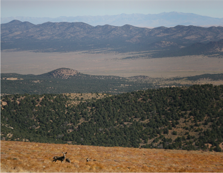 House Casts a Vote for Conservation in Advancing Budget Bill
