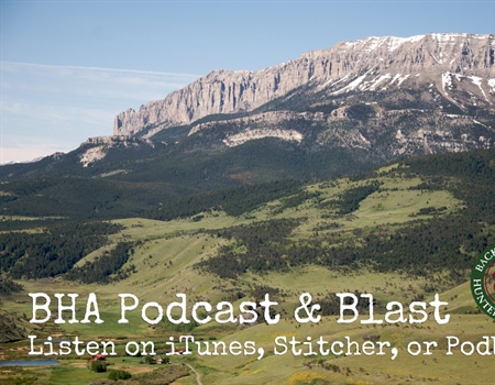 BHA Podcast & Blast, Episode 13: Roy Jacobs of Montana BHA Board