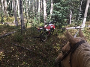 Coloradans rewarded for reporting illegal off road travel on public lands