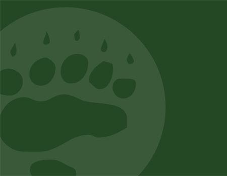 Sportsmen against sulfide mining