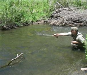 Wanna Catch Trout? Fish Upstream.