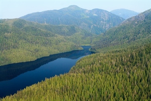 Forest Service Moves to Open Development in Alaska Roadless Area