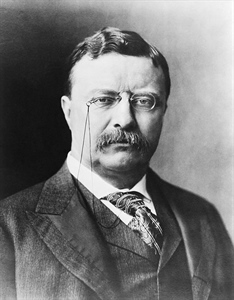 What Would Theodore Roosevelt Do? One Year after Election, BHA Measures Trump Administration