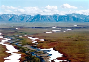 Senate Votes to Allow Arctic Refuge Drilling Despite Pushback from Sportsmen