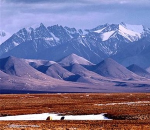 BHA Poll Shows Strong Public Opposition to Drilling in the Arctic National Wildlife Refuge