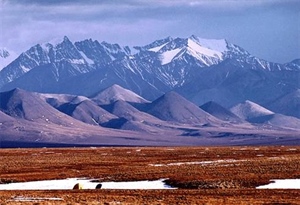 BHA Poll Shows Strong Public Opposition to Drilling in the Arctic National Wildlife Refuge