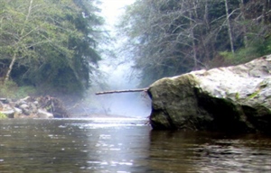 Elliott State Forest to Remain Publicly Accessible